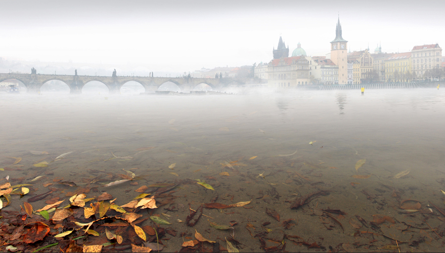 Novembernebel