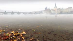 Novembernebel