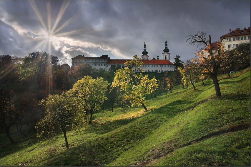 Im Klostergarten