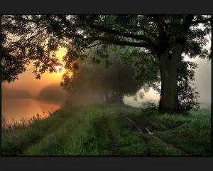 Elbemorgen
